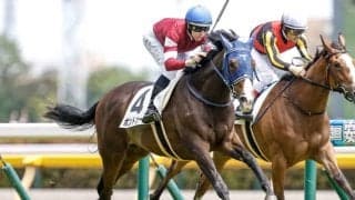 【AI予想・東京新聞杯】父サンデーサイレンス系が圧倒的な良績を残す！ 重賞での好走実績が豊富な本候補とは