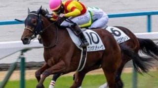 【きさらぎ賞】米国生まれのエリカアンディーヴ 史上初の外国産牝馬Vなるか