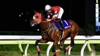 【NARグランプリ2024】ダート三冠の今後は！？NAR相川理事がサプライズ登壇ファンの疑問に回答