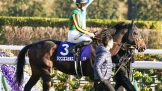 【きさらぎ賞展望】好走条件揃うランスオブカオスが狙い目