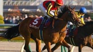 きさらぎ賞出走のいとこと同日重賞Vへ ブレイディヴェーグが東京新聞杯に参戦