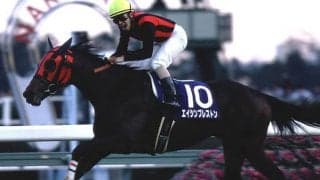 G1・4勝のエイシンプレストンが28歳で死す 福永祐一騎手と全32戦でコンビ