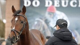 ドウデュースの応援に武豊騎手の姿も 社台SSで種牡馬総合展示会が開催