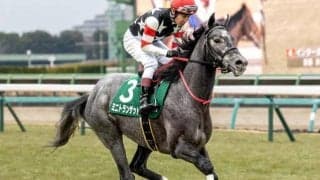 前走鋭い大外一気で好走の芦毛 きさらぎ賞で重賞初V狙う