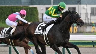 【きさらぎ賞予想オッズ】サトノシャイニングが予想1番人気