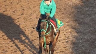 ソーダズリングなど、先週の入厩情報/栗東トレセンニュース