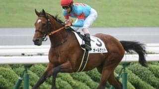 【東京新聞杯展望】条件を全てクリアするオールナットが狙い目