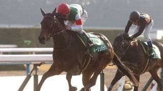 芝のきさらぎ賞を制した唯一の牝馬  ルージュバックの勝利から10年