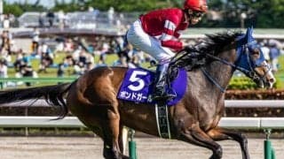 “最強の1勝馬”卒業へ 藤田晋オーナーの愛馬が東京新聞杯で念願の初タイトルを狙う