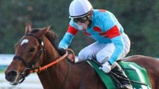 ジャパンC覇者ショウナンパンドラの半弟 連勝中の勢いに乗り東京新聞杯で重賞初V狙う