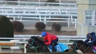 プラダリア、京都記念1週前追い切り速報/栗東トレセンニュース