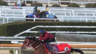 フォーエバーヤング、サウジC追い切り速報/栗東トレセンニュース