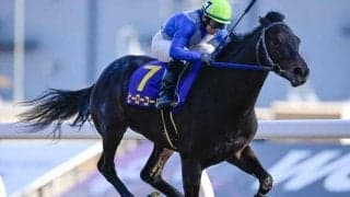 【川崎・報知オールスターC結果】ヒーローコールが逃げ切りV！待望の重賞5勝目を挙げる