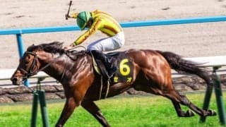 父に産駒JRA重賞初V届けるか 東京新聞杯でセオが巻き返し図る