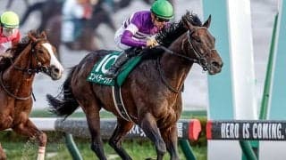 【フェブラリーS想定】エンペラーワケア、ペプチドナイルなど16頭