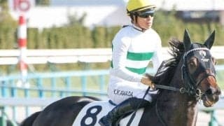 一族にGI馬ズラリ ショウヘイがきさらぎ賞を制し大舞台へ羽ばたくか