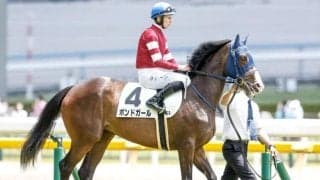 【東京新聞杯予想】一線級のマイラー集結の一戦 AIの推奨は強敵相手に善戦続ける4歳馬