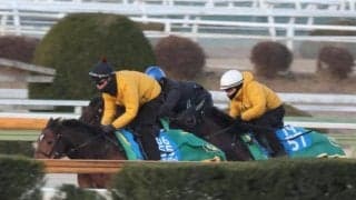 ウィリアムバローズ、フェブラリーS2週前追い切り速報/栗東トレセンニュース