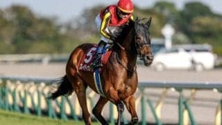 【東京新聞杯出走馬・騎手確定】ブレイディヴェーグ＆C.ルメール騎手、ボンドガール＆武豊騎手など16頭