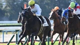 【きさらぎ賞出走馬・騎手確定】ショウヘイ＆川田将雅騎手、サトノシャイニング＆西村淳也騎手など10頭