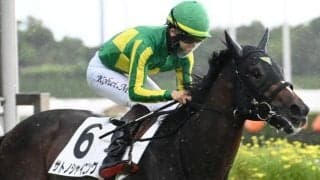 【きさらぎ賞枠順確定】サトノシャイニングは8枠10番、ショウヘイは6枠6番