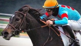 きょうだいにサリオスやサラキアら 現役屈指の良血馬が斑鳩SでOP入り目指す