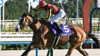 【京都記念想定馬・騎手】チェルヴィニア、ソールオリエンスなど10頭