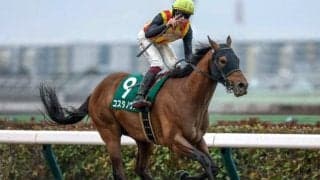 【フェブラリーS想定馬・騎手】コスタノヴァ、ペプチドナイルなど21頭