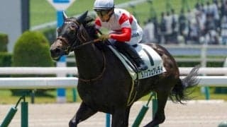 京都芝はディープインパクト系が好調 エルフィンSはキズナ産駒のダノンフェアレディが決める