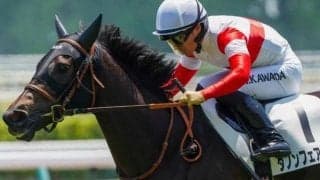 キズナ産駒の逸材 エルフィンSで約8カ月ぶりの実戦へ