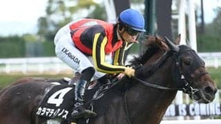 【共同通信杯想定馬・騎手】カラマティアノス、ネブラディスクなど8頭