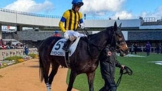 “祖母の忘れ物”牝馬クラシック制覇へ エアメサイアの孫がエルフィンSで連勝狙う