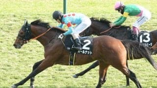 【競馬予想】東京新聞杯で注目の血統は「サトノダイヤモンド」と「ルーラーシップ」安田記念へと羽ばたくのは？