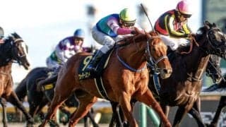 【東京新聞杯予想】サンデーサイレンスの影響力が絶大!? 苦戦傾向にある父ノーザンダンサー系に求められる好走条件とは