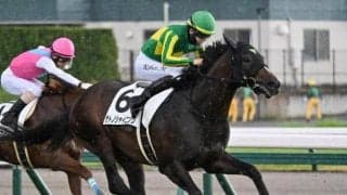 【きさらぎ賞予想】積極果敢な競馬がかえってマイナスに!? 前走結果を鵜呑みにしづらい実績馬とは