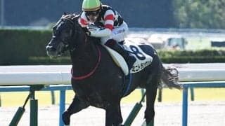 【きさらぎ賞予想】今年も10頭立てと少頭数 先行激化は考えにくく瞬発力がカギ