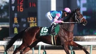 【競馬予想】きさらぎ賞は少頭数でも波乱含み...人気の盲点となっている２頭で好配当を狙え