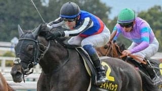 【初音S】桜樫3着のライトバック 今度こそオープン入りなるか