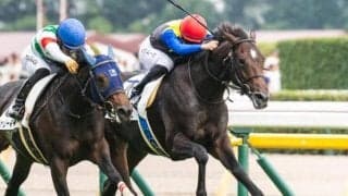 【ゆりかもめ賞】母は三冠牝馬のアパパネ アマキヒが巻き返して2勝目なるか