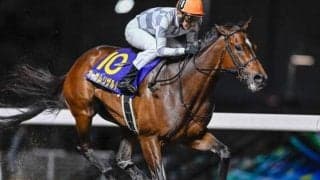 【船橋・クイーン賞枠順】無傷7連勝中のオーサムリザルトは7枠7番、昨年のJBCレディスC覇者アンモシエラは6枠6番