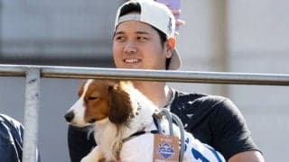 デコピンは「おしっこを我慢できる」　Vパレードの裏で…球団カメラマンが称賛「3時間で1度も」