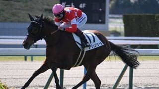 【京都5R新馬戦結果】ロードカナロア産駒ルージュソリテールが好位抜け出しV