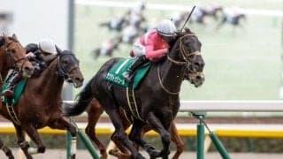 東京新聞杯は内枠＆先行馬重視