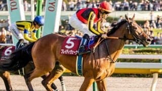 【東京新聞杯・馬体重】ブレイディヴェーグは482kg(+14)、ボンドガールは456kg(+8)