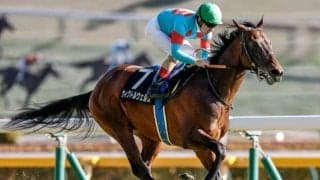 【ゆりかもめ賞結果】ウィクトルウェルスが抜け出し2連勝