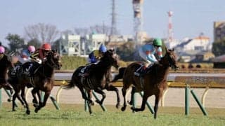【ゆりかもめ賞】ウィクトルウェルスが2連勝