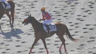 【東京8R】武豊騎手が騎乗停止明け初勝利