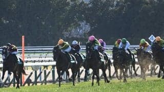 【JRA・WIN5】本日のWIN5は的中567票、配当106万2130円