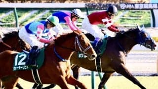 【東京新聞杯】ウォーターリヒトが重賞初制覇…武豊ボンドガールは2着