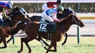 【東京新聞杯】菅原明「（最後は）馬の気持ちですね」ウォーターリヒトが重賞初制覇